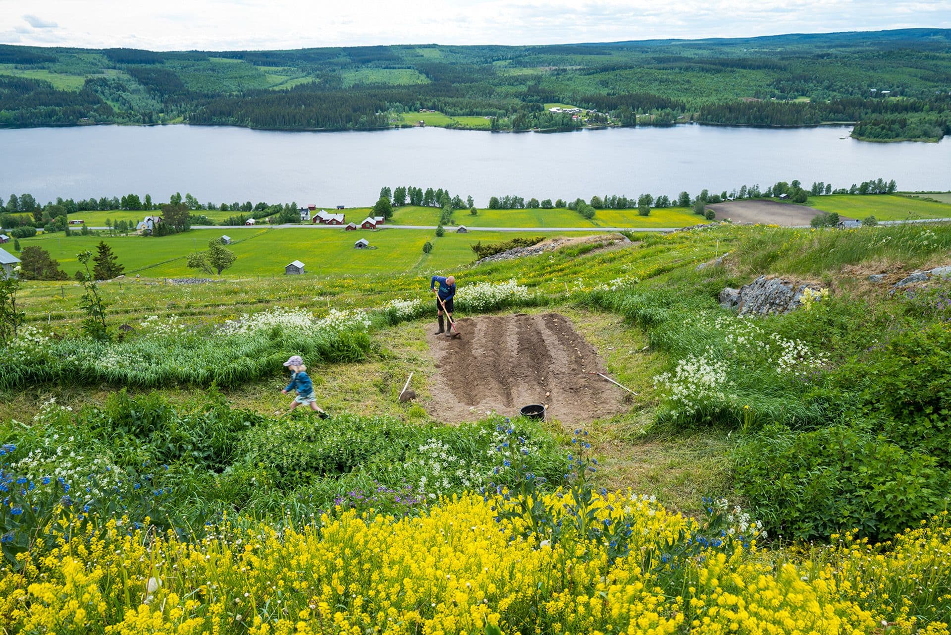 Utsikt över Kaxås från Åflo