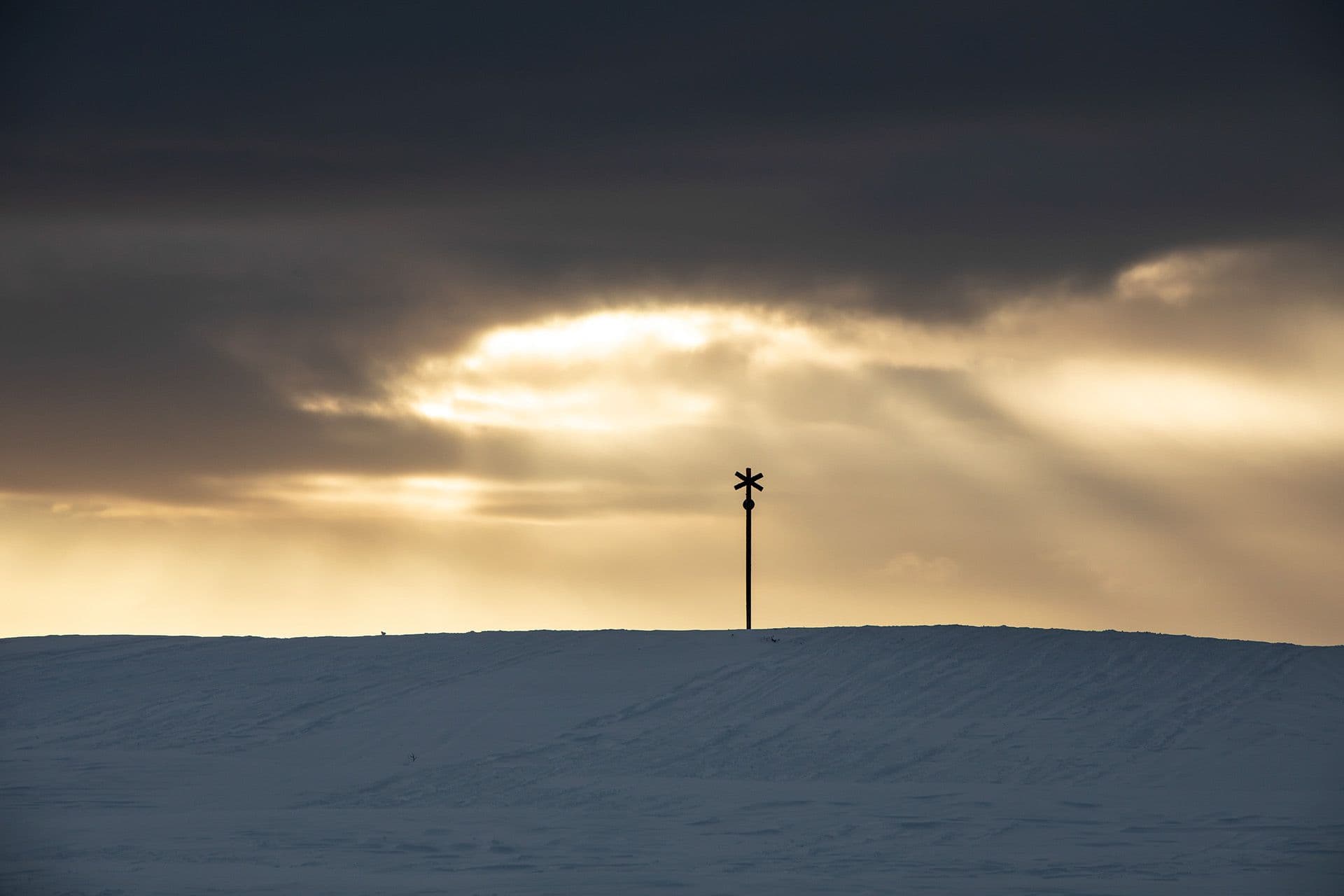 Kaxås i snölandskap