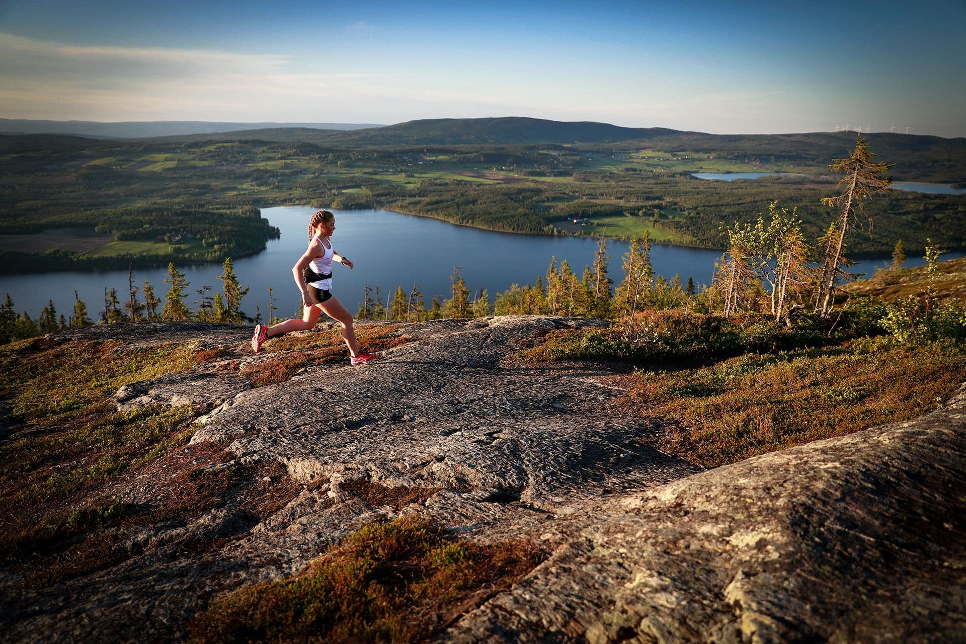 Svea park